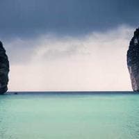 Clove Buds (Idukki) view 1