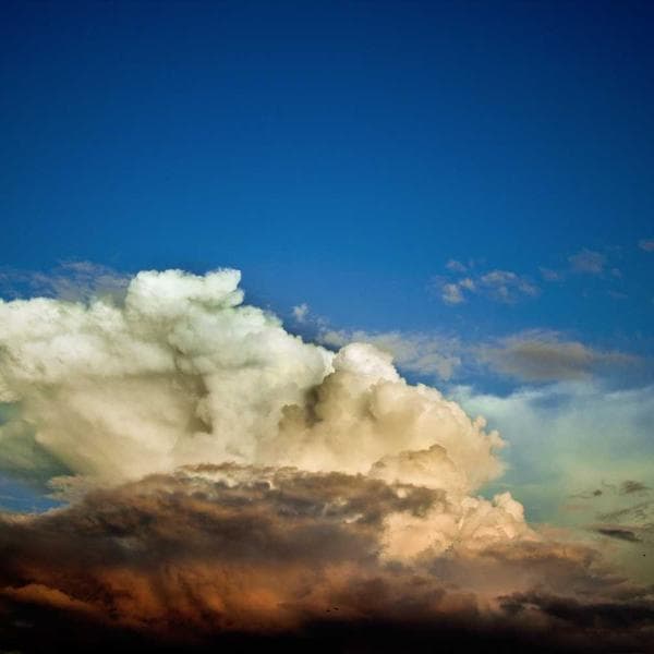 Premium Spice Box (12 items)