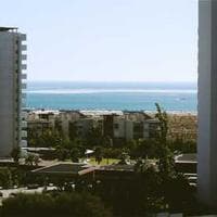 Tellicherry Black Pepper view 1